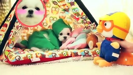 운서출장타이070c5180c1619｛카톡NX34｝ぱ운서출장안@마ぱ운서출장샵ぱ운서출장맛사지 ぱ운서출장걸썰 운서출장걸가격 운서출장러시아 운서외국인후불출장업소 운서24시출장마사지샵'예약ざしじ