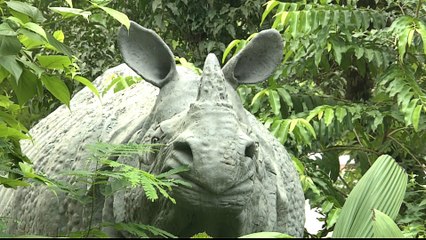 India's wildlife struggles to survive heavy monsoon rains