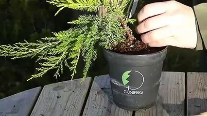 예천출장타이 O7OW7301W9649｛카톡LA25｝ぱ예천출장안@마ぱ예천출장샵ぱ예천출장맛사지 ぱ예천출장걸썰 예천출장걸가격 예천출장러시아 예천외국인후불출장업소 예천24시출장마사지샵'예약どなに