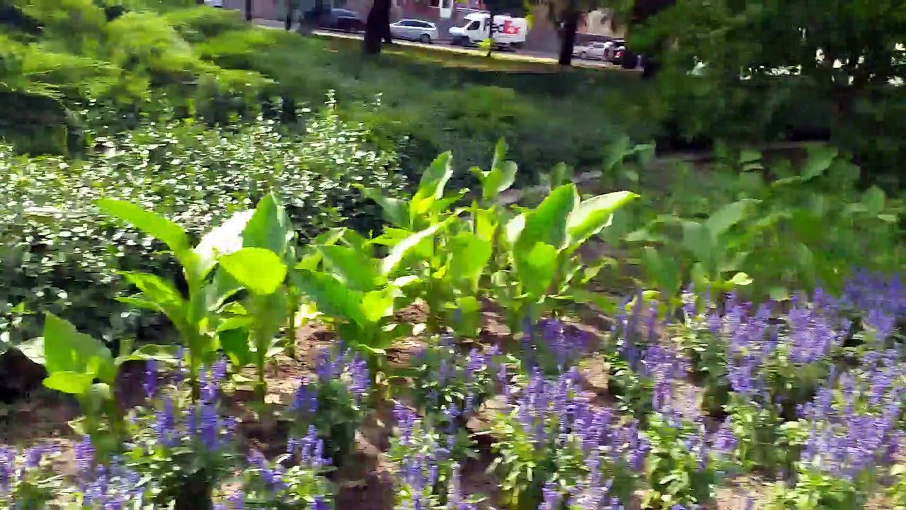 Conociendo el parque mas grande de mi ciudad pila polonia Europa