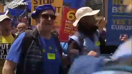 Pro-EU protesters hold rally in London