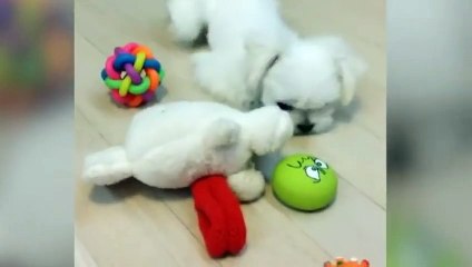 동두천출장안마 -후불100%ョOiOc2659c1768｛카톡SN92｝ 동두천전지역출장안마 동두천오피걸 동두천출장마사지 동두천안마 동두천출장마사지 동두천콜걸샵§∥∏