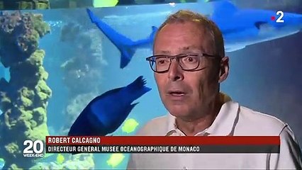 Environnement : la Floride bientôt sous les eaux ?