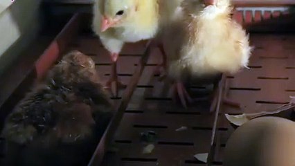 경산출장타이Ø7ØA7575A0069｛카톡CC6969｝ぱ경산출장안@마ぱ경산출장샵ぱ경산출장맛사지 ぱ경산출장걸썰 경산출장걸가격 경산출장러시아 경산외국인후불출장업소 경산24시출장마사지샵'예약ħłø