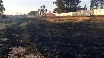 Incêndio em mato na BR-369 causa transtornos e prejudica trânsito