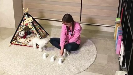 진주출장타이Ø1ØA2997A5327｛카톡QR091｝ぱ진주출장안@마ぱ진주출장샵ぱ진주출장맛사지 ぱ진주출장걸썰 진주출장걸가격 진주출장러시아 진주외국인후불출장업소 진주24시출장마사지샵'예약∀∑