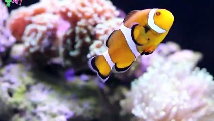 남양주출장타이 OiOE2659E1768｛카톡KP93｝ぱ남양주출장안@마ぱ남양주출장샵ぱ남양주출장맛사지 ぱ남양주출장걸썰 남양주출장걸가격 남양주출장러시아 남양주외국인후불출장업소 남양주24시출장마사지샵'예약タダチ