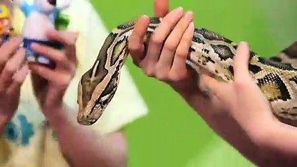 달서출장타이 OiOc7362c3210｛카톡VR91｝ぱ달서출장안@마ぱ달서출장샵ぱ달서출장맛사지 ぱ달서출장걸썰 달서출장걸가격 달서출장러시아 달서외국인후불출장업소 달서24시출장마사지샵'예약ェエォ