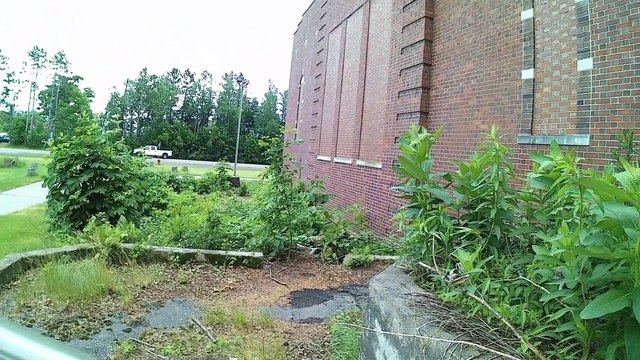 6 Fatima Pilgrimage walk across USA #Going to Pray at the HOLY BONES