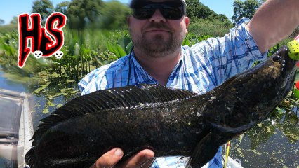 Hook Shots: Go Go Team Snakehead (Chapter 2)