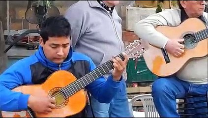 Cogollo dedicado a Raul Brú - Tonada en San Juan