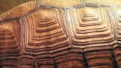 구로출장안마 -후불100%ョO7Os7333s9649｛카톡VV23} 구로전지역출장안마 구로오피걸 구로출장마사지 구로안마 구로출장마사지 구로콜걸샵§∥∏