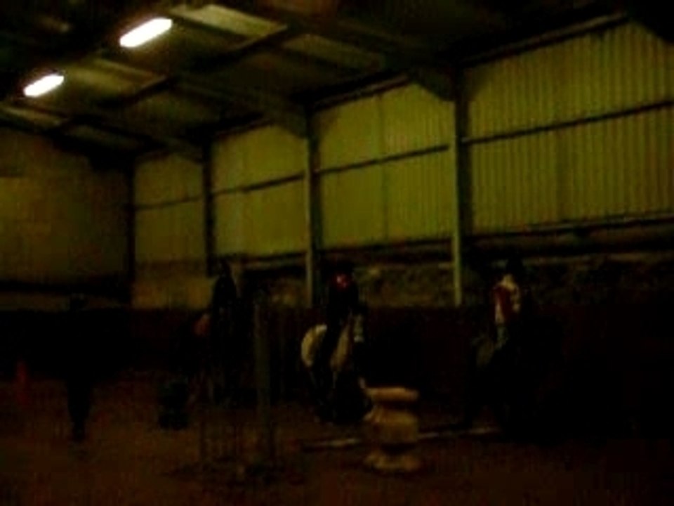 En saut d'obstacle avec Diamant le 20 novembre 2007