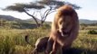 The Lion King (2019) - Official Trailer _ Donald Glover, Beyonce, Seth Rogen