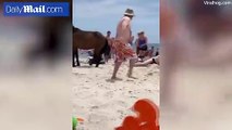 Speedo clad man gets kicked in the nuts by tiny horse