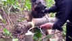 Dog Rescue Stories an Abandoned Dog in Forest... Greatest Puppy Rescue of My Life