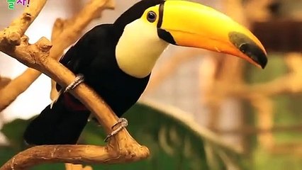 인제출장안마 -후불100%ョOiOE2659E1768｛카톡SN92｝ 인제전지역출장안마 인제오피걸 인제출장마사지 인제안마 인제출장마사지 인제콜걸샵♪⇔∃