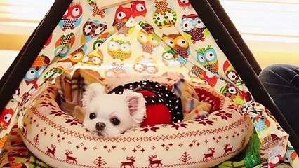 수영출장안마 -후불100%ョOiOc7362c3210｛카톡VR91｝ 수영전지역출장안마 수영오피걸 수영출장마사지 수영안마 수영출장마사지 수영콜걸샵φχψ