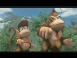 Donkey Kong et Diddy Kong