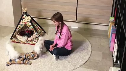 강동출장안마 -후불100%ョO7Os7301s9649｛카톡LA25｝ 강동전지역출장안마 강동오피걸 강동출장마사지 강동안마 강동출장마사지 강동콜걸샵♪▩▦