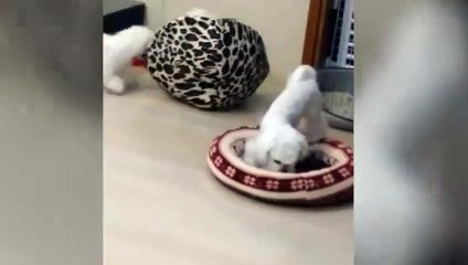 부안출장안마 -후불100%ョO7OW7301W9649｛카톡CS69｝ 부안전지역출장안마 부안오피걸 부안출장마사지 부안안마 부안출장마사지 부안콜걸샵⊙♤℉