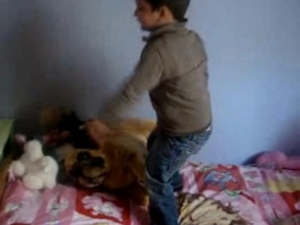 Les petits fou