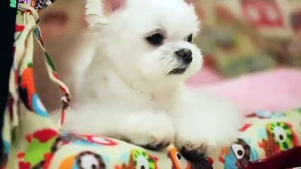 신시가지출장안마 -후불100%ョ070c5180c1619｛카톡NX34｝ 신시가지전지역출장안마 신시가지오피걸 신시가지출장마사지 신시가지안마 신시가지출장마사지 신시가지콜걸샵タダチ