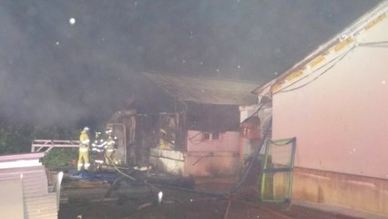 충남 아산 돼지 축사 불...돼지 3백여 마리 폐사 / YTN