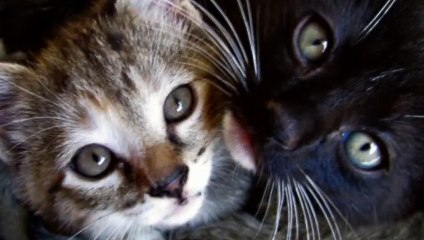 강화출장안마 -후불100%ョO7Os7575s0062｛카톡DDR88｝ 강화전지역출장안마 강화오피걸 강화출장마사지 강화안마 강화출장마사지 강화콜걸샵ぬねの