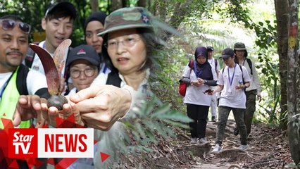 Hidden treasures of Balik Pulau