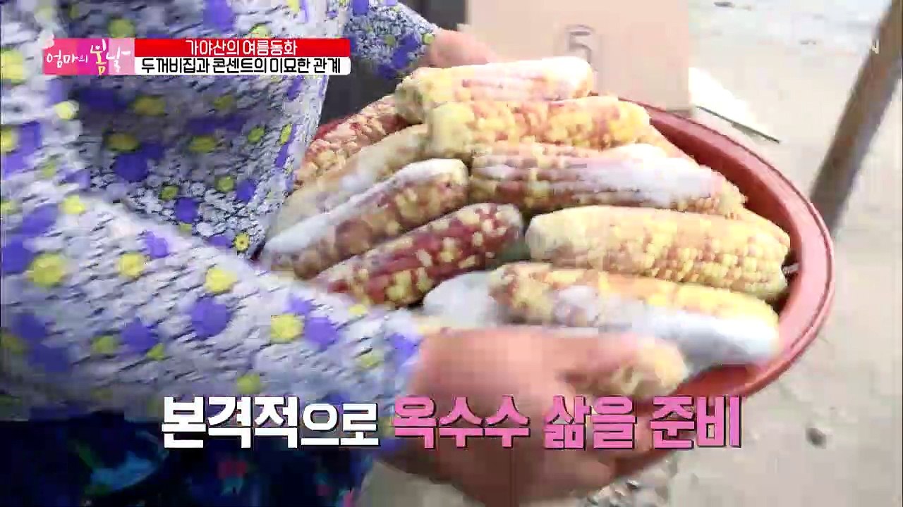 가야산의 조금 특별한 가족들! 아침부터 난리가?!