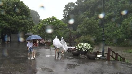 [날씨] 밤까지 비 오락가락...전국 곳곳 폭염특보 / YTN