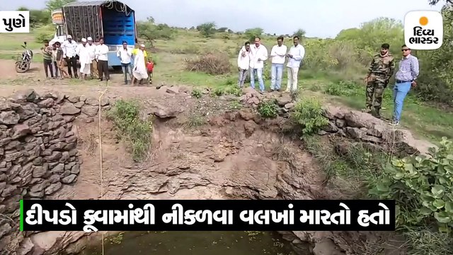કૂવામાં વલખાં મારતા દીપડાનું દિલધડક રેસ્ક્યુ ઓપરેશન