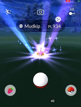 #SHINY #MUDKIP IV 100 CP 934 LIV 29 EVOLUTION MARSHTOMP 1472 EVOLUTION SWAMPERT 2464