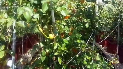 노원출장타이070c5180c1620｛카톡XI74｝ぱ노원출장안@마ぱ노원출장샵ぱ노원출장맛사지 ぱ노원출장걸썰 노원출장걸가격 노원출장러시아 노원외국인후불출장업소 노원24시출장마사지샵'예약♪▩▦