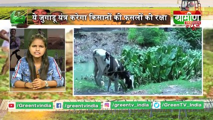Kisano की फसलों की रक्षा करेगा ये जुगाडू यंत्र - Kisan Bulletin 21 July 2019 | Grameen News