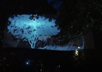 Rêverie nocturne au jardin des senteurs