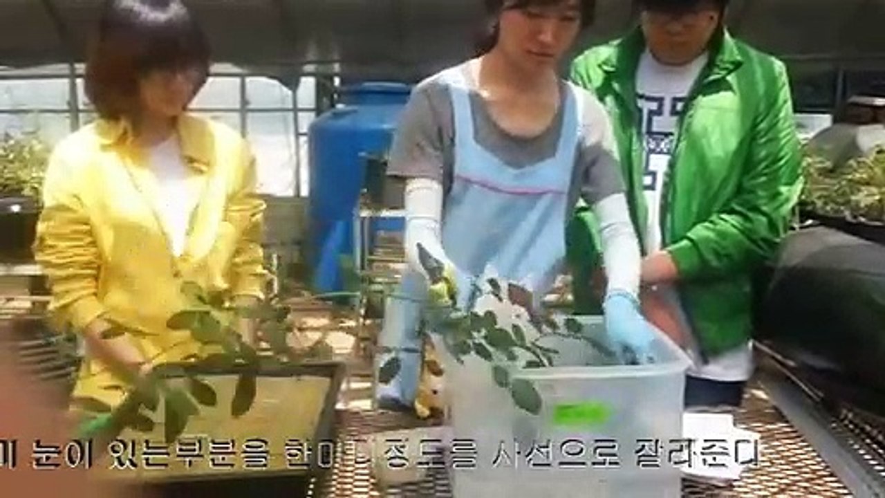 김해출장안마 -후불100%ョØ7ØA7575A0062｛카톡DK654｝ 김해전지역출장안마 김해오피걸 김해출장마사지 김해안마 김해출장마사지 김해콜걸샵◐▤▥