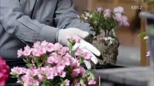 Nhà Không Cần Đàn Ông Tập 22 - HTV2 Lồng Tiếng - Phim Hàn Quốc - Phim nha khong can dan ong tap 23 - Phim nha khong can dan ong tap 22