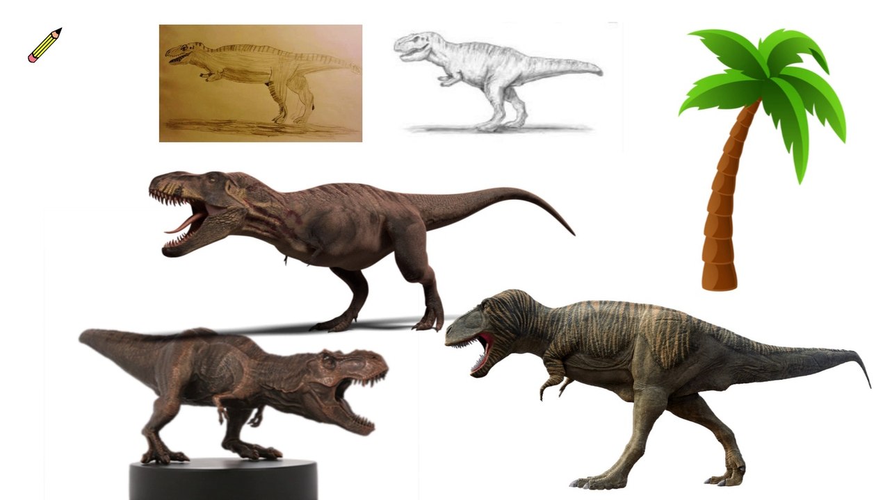 Tyrannosaurus Dinosaur Dessine Belle
