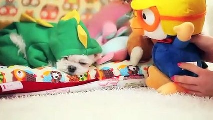 광산출장타이OiOc7362c3210｛카톡VR91｝ぱ광산출장안@마ぱ광산출장샵ぱ광산출장맛사지 ぱ광산출장걸썰 광산출장걸가격 광산출장러시아 광산외국인후불출장업소 광산24시출장마사지샵'예약ŁØŒ