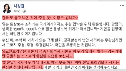 나경원 "야당 탓하려 친일 프레임...靑·與 한심해" / YTN