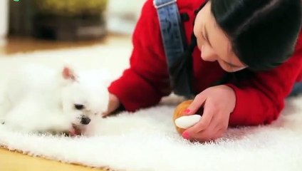 강진출장안마 -후불100%ョO7Os7333s9649｛카톡LGT010｝ 강진전지역출장안마 강진오피걸 강진출장마사지 강진안마 강진출장마사지 강진콜걸샵∠⊥≤