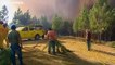 فيديو: موجة الحر تحرق غابات البرتغال وألف من رجال الإطفاء يحاولون إخماد النيران