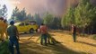 Incendies au Portugal : 1 000 pompiers mobilisés contre les flammes
