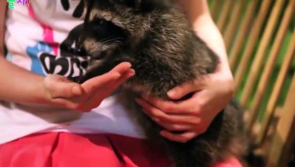 포항출장타이OiOc7362c3210｛카톡RQ43｝ぱ포항출장안@마ぱ포항출장샵ぱ포항출장맛사지 ぱ포항출장걸썰 포항출장걸가격 포항출장러시아 포항외국인후불출장업소 포항24시출장마사지샵'예약プポマ