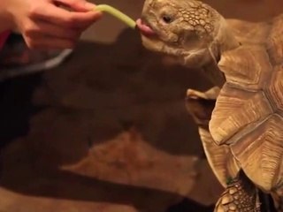 장흥출장타이OiOc7685c6221｛카톡MGM1472｝ぱ장흥출장안@마ぱ장흥출장샵ぱ장흥출장맛사지 ぱ장흥출장걸썰 장흥출장걸가격 장흥출장러시아 장흥외국인후불출장업소 장흥24시출장마사지샵'예약みめも