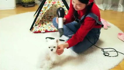횡성출장안마 -후불100%ョOiOc7362c3210｛카톡RQ43｝ 횡성전지역출장안마 횡성오피걸 횡성출장마사지 횡성안마 횡성출장마사지 횡성콜걸샵∑⇒∃