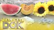 A Dietitian details the health benefits of watermelon, pumpkin, and sunflower seeds | Salamat Dok