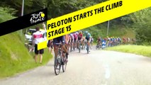 Le peloton a attaqué les premières pentes / The peloton has started the climb - Étape 15 / Stage 15 - Tour de France 2019